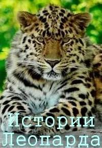 Постер сериала Истории леопарда