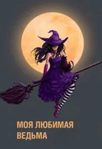 Постер сериала Моя любимая ведьма