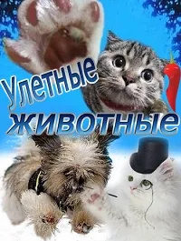 Постер сериала Улетные животные