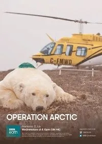Постер сериала Арктика. Как живут за Полярным кругом