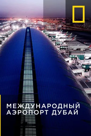 Постер сериала Международный аэропорт Дубай, 2 сезон