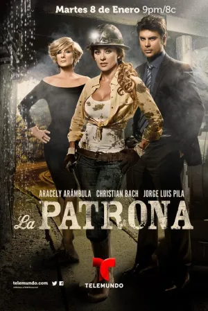 Постер сериала Госпожа