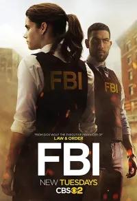 Постер сериала ФБР