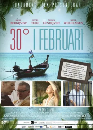 Постер сериала 30 градусов в феврале