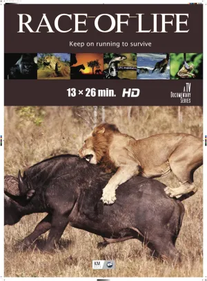 Постер сериала Гонка жизни