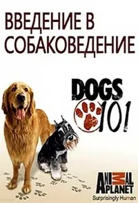 Постер сериала Введение в собаковедение