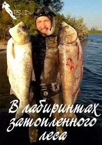 Постер сериала В лабиринтах затопленного леса
