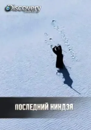 Постер сериала Последний ниндзя