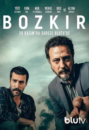 Постер сериала Степь