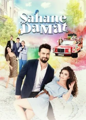 Постер сериала Замечательный зять