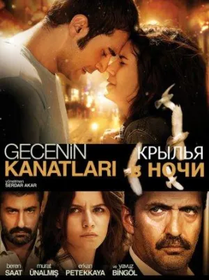 Постер сериала Крылья ночи
