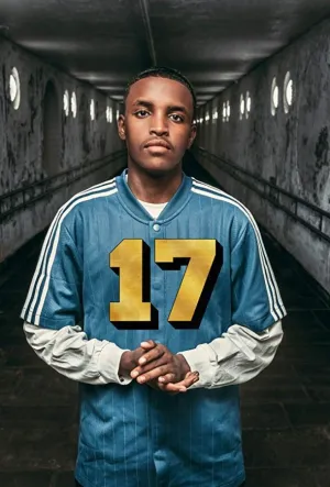 Постер сериала 17