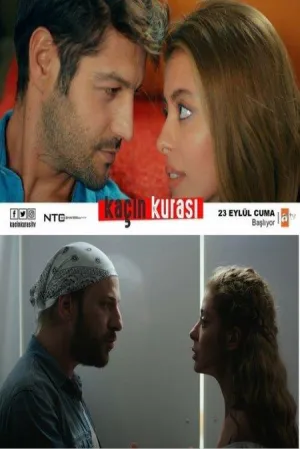 Постер сериала Искусный