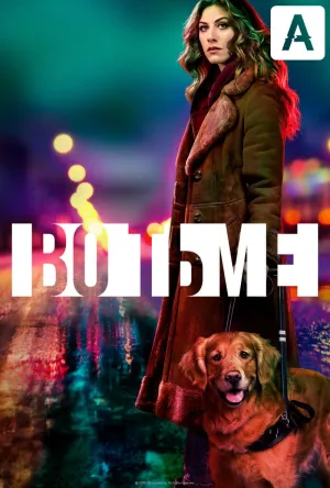 Постер сериала Во тьме