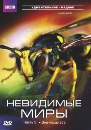 Постер сериала Невидимые миры ВВС