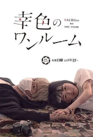 Постер сериала Цвета счастья в одной комнате