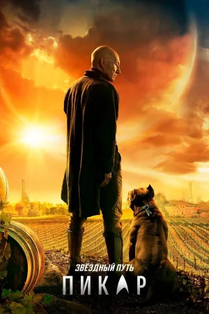 Постер сериала Звездный путь: Пикар