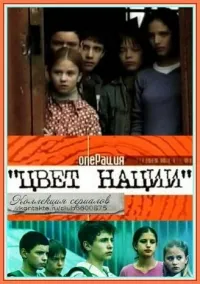 Постер сериала Операция «Цвет нации»