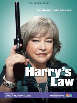 Постер сериала Закон Хэрри