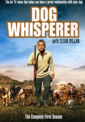 Постер сериала Переводчик с собачьего