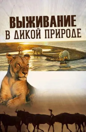 Постер сериала Выживание в дикой природе