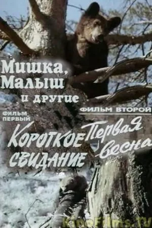 Постер сериала Мишка, Малыш и другие