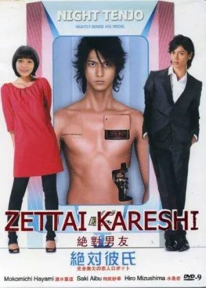 Постер сериала Идеальный парень (2008)