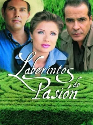Постер сериала Лабиринты страсти