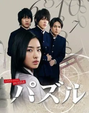 Постер сериала Головоломка (2008)