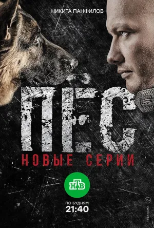 Постер сериала Пес, 4 сезон