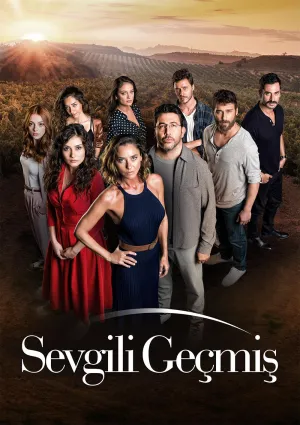 Постер сериала Любимое прошлое