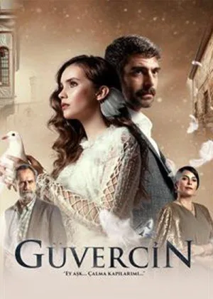 Постер сериала Голубка (Турция)