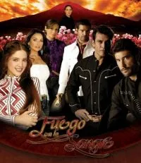 Постер сериала Огонь в крови