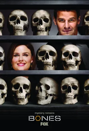 Постер сериала Кости, 9 сезон
