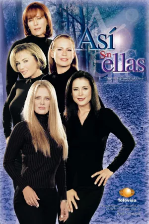 Постер сериала Таковы женщины