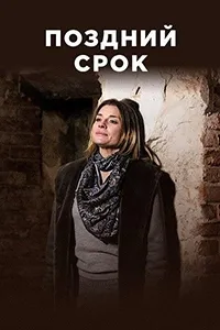 Постер сериала Поздний срок