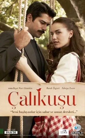 Постер сериала Королек - птичка певчая (2013)