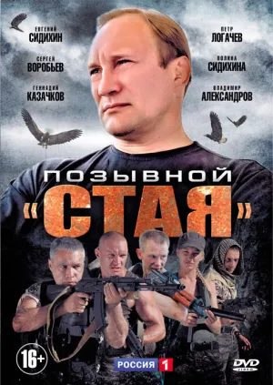 Постер сериала Позывной Стая