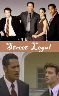 Постер сериала Защитник (NZ)