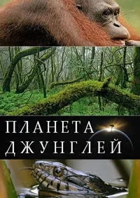 Постер сериала Планета джунглей