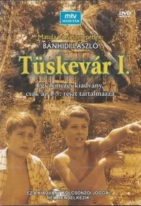 Постер сериала Терновая крепость