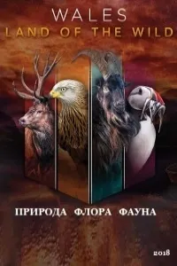 Постер сериала Уэльс: дикая земля