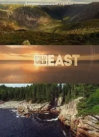 Постер сериала Дикий, дикий восток