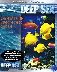 Постер сериала Обитатели Красного моря