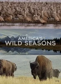 Постер сериала Времена года в дикой природе Америки