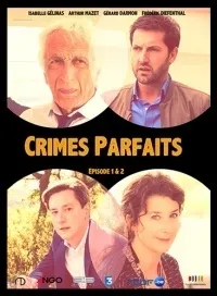 Постер сериала Идеальные убийства