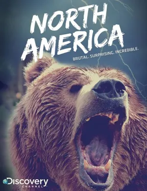 Постер сериала Северная Америка
