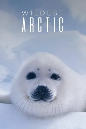 Постер сериала Суровая Арктика