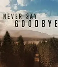 Постер сериала Никогда не говори прощай
