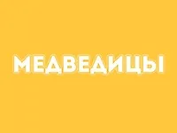 Постер сериала Медведицы